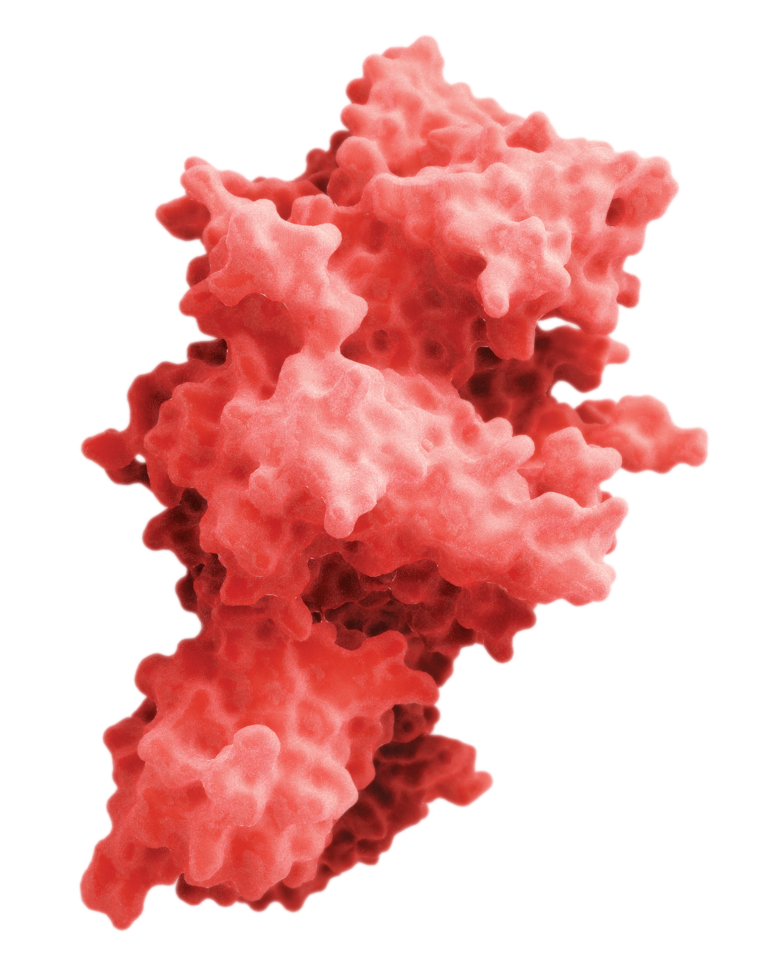 An FVIII Molecule An FVIII Molecule