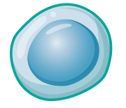 Cell image Cell image
