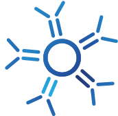 IgM Molecule IgM Molecule