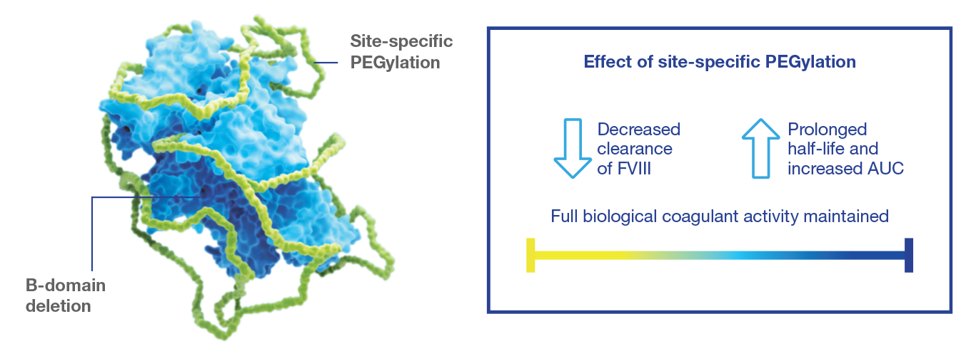 An image of a molecule An image of a molecule