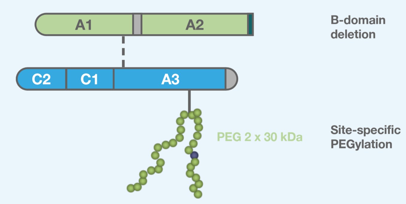 Cell image with green and blue bars