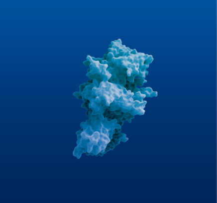 A Kovaltry molecule