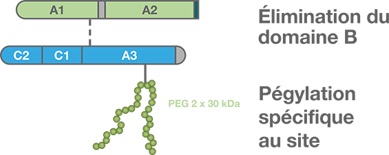 Image de cellule avec barres verte et bleue Image de cellule avec barres verte et bleue